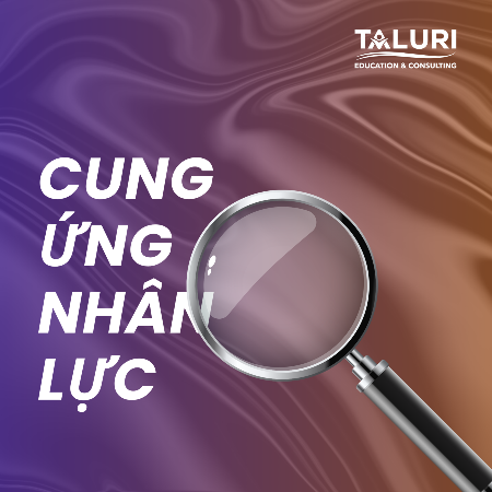 Taluri company